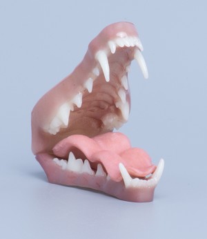 TONGUE SOLD SEPARATELY<br>PICTURED WITH SNARLING TONGUE 