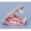 TONGUE SOLD SEPARATELY 