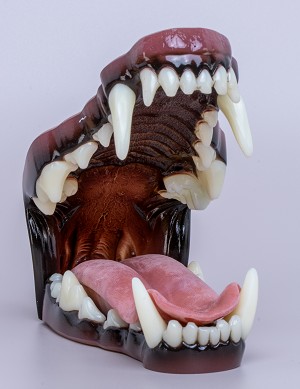 TONGUE SOLD SEPARATELY<br>RELAXED TONGUE PICTURED 