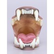TONGUE SOLD SEPARATELY<br>RELAXED TONGUE PICTURED 
